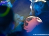 mg_6977-copy