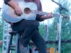 03-arlo-guthrie-denver-botanic-gardens-3