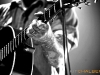 kit-chalberg-city-and-colour-ogden-theatre-25168