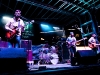 06-dr-dog-10