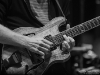 Phish Dicks 8/31/13