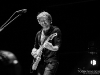 Phish Dicks 8/31/13