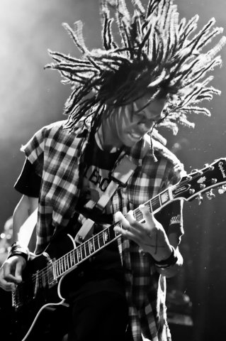 04-radkey-bluebird