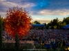 PHOTOS: Joan Baez - Denver Botanic Gardens 7/10/14