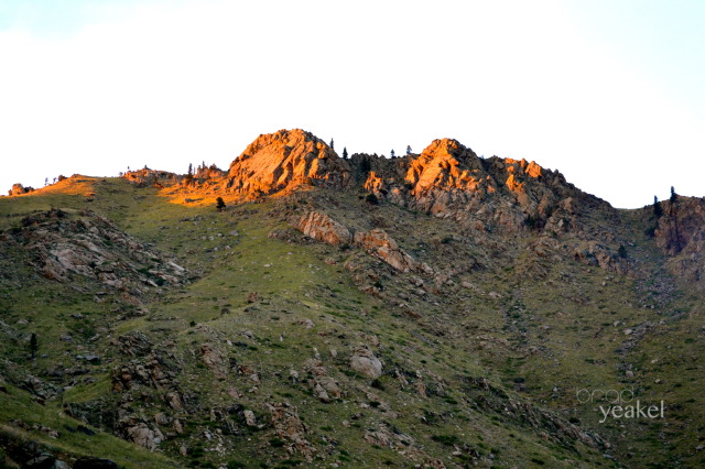 dsc_0001