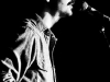 04-mosey-west-hi-dive-10