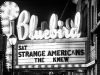 01-strange-americans-bluebird-1