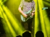 img_1421