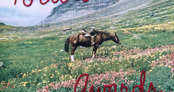 pololo album review marquee magazine